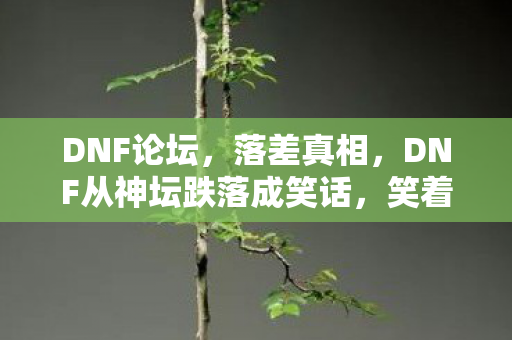 DNF论坛，落差真相，DNF从神坛跌落成笑话，笑着笑着哭了，谁还在坚守？