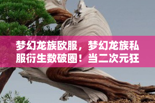 梦幻龙族欧服，梦幻龙族私服衍生数破圈！当二次元狂想撞上三次元冰箱的意想不到