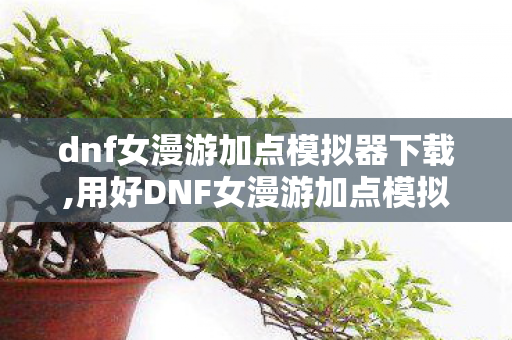 dnf女漫游加点模拟器下载,用好DNF女漫游加点模拟器，精准规划角色成长路径