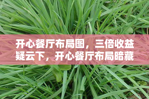 开心餐厅布局图，三倍收益疑云下，开心餐厅布局暗藏心寒真相，资本游戏何时休？