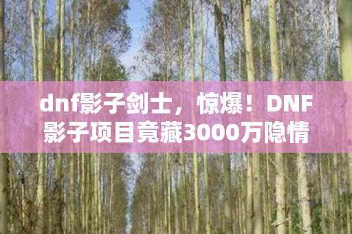 dnf影子剑士，惊爆！DNF影子项目竟藏3000万隐情，结果一出吓一跳！