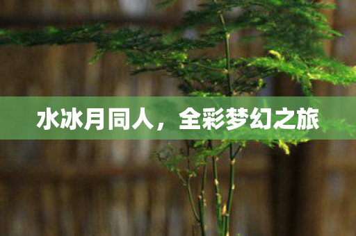 水冰月同人，全彩梦幻之旅