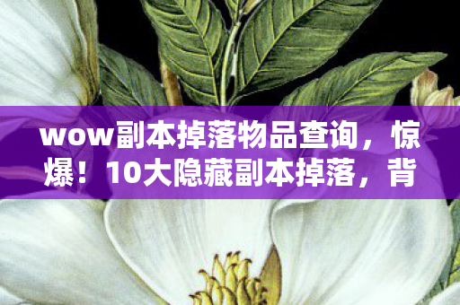 wow副本掉落物品查询,惊爆!10大隐藏副本掉落,背后竟藏着开发组惊天秘密? wow副本掉落物品查询,惊爆!10大隐藏副本掉落,背后竟藏着开发组惊天秘密?