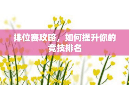 排位赛攻略，如何提升你的竞技排名