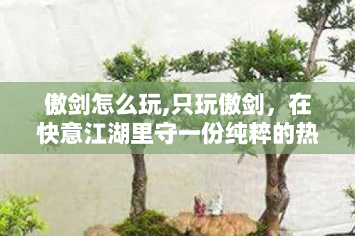 傲剑怎么玩,只玩傲剑,在快意江湖里守一份纯粹的热爱 傲剑怎么玩,只玩傲剑,在快意江湖里守一份纯粹的热爱