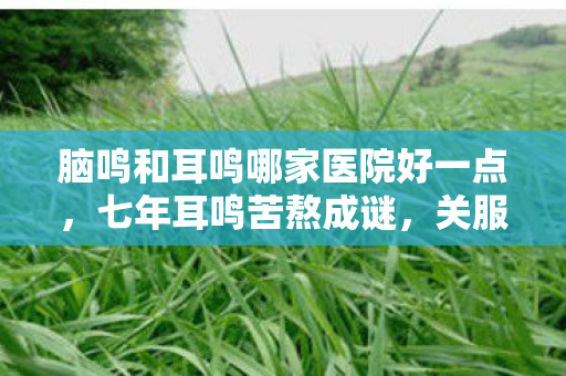 脑鸣和耳鸣哪家医院好一点,七年耳鸣苦熬成谜,关服那日泪目,何时能寻回清净之境? 脑鸣和耳鸣哪家医院好一点,七年耳鸣苦熬成谜,关服那日泪目,何时能寻回清净之境?