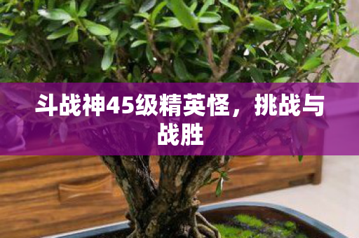 斗战神45级精英怪,挑战与战胜 斗战神45级精英怪,挑战与战胜