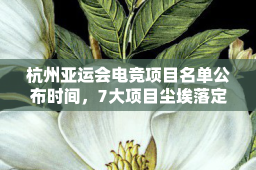杭州亚运会电竞项目名单公布时间,7大项目尘埃落定!谁将成亚运电竞首金收割机?这名单藏着刀! 杭州亚运会电竞项目名单公布时间,7大项目尘埃落定!谁将成亚运电竞首金收割机?这名单藏着刀!