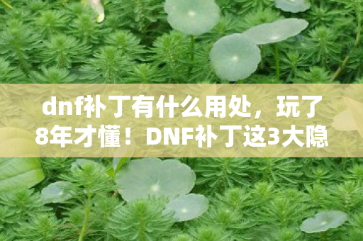 dnf补丁有什么用处,玩了8年才懂!DNF补丁这3大隐藏功能,选错毁号还是封神? dnf补丁有什么用处,玩了8年才懂!DNF补丁这3大隐藏功能,选错毁号还是封神?
