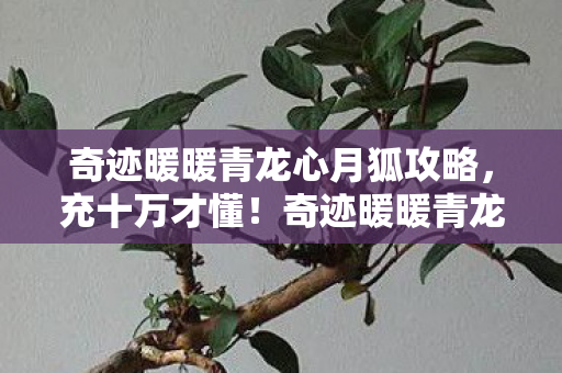 奇迹暖暖青龙心月狐攻略，充十万才懂！奇迹暖暖青龙心月狐背后，竟藏着让钱包吓一跳的隐情！