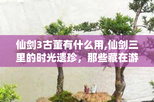仙剑3古董有什么用,仙剑三里的时光遗珍，那些藏在游戏角落的古董