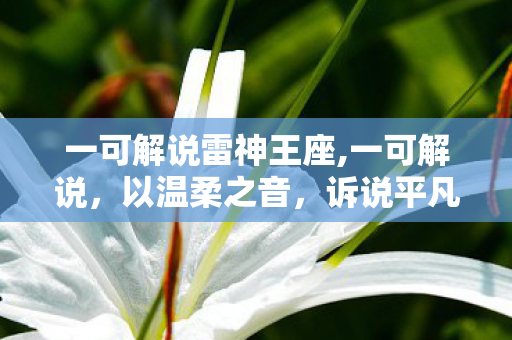 一可解说雷神王座,一可解说,以温柔之音,诉说平凡里的暖 一可解说雷神王座,一可解说,以温柔之音,诉说平凡里的暖