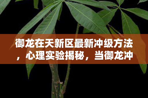 御龙在天新区最新冲级方法,心理实验揭秘,当御龙冲级成为沉迷陷阱,细思极恐的多巴胺操控术 御龙在天新区最新冲级方法,心理实验揭秘,当御龙冲级成为沉迷陷阱,细思极恐的多巴胺操控术