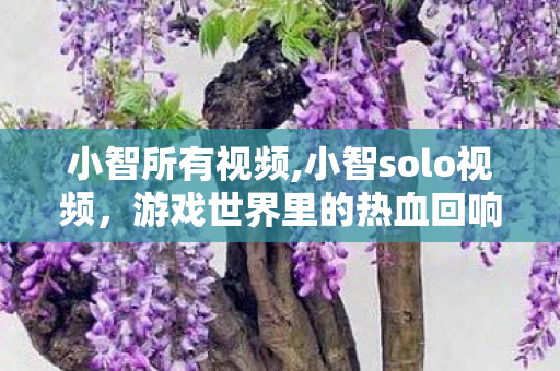 小智所有视频,小智solo视频，游戏世界里的热血回响
