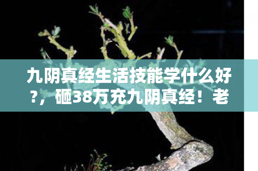 九阴真经生活技能学什么好?,砸38万充九阴真经!老婆签离婚协议那晚,我才知生活技能选错多要命! 九阴真经生活技能学什么好?,砸38万充九阴真经!老婆签离婚协议那晚,我才知生活技能选错多要命!