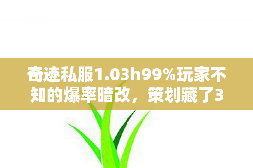 奇迹私服1.03h99%玩家不知的爆率暗改,策划藏了3年的数值密码 奇迹私服1.03h99%玩家不知的爆率暗改,策划藏了3年的数值密码