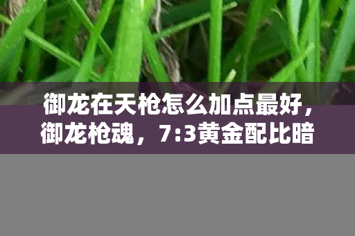 御龙在天枪怎么加点最好,御龙枪魂,7:3黄金配比暗藏玄机,你的加点是否早已输在起点? 御龙在天枪怎么加点最好,御龙枪魂,7:3黄金配比暗藏玄机,你的加点是否早已输在起点?