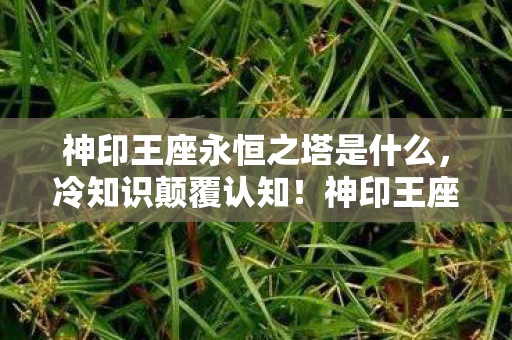 神印王座永恒之塔是什么,冷知识颠覆认知!神印王座永恒之塔,这些设计让你目瞪口呆! 神印王座永恒之塔是什么,冷知识颠覆认知!神印王座永恒之塔,这些设计让你目瞪口呆!