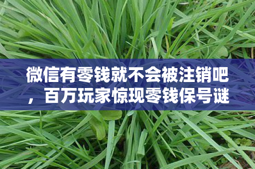 微信有零钱就不会被注销吧,百万玩家惊现零钱保号谜团!氪金大佬集体破防真相竟是…… 微信有零钱就不会被注销吧,百万玩家惊现零钱保号谜团!氪金大佬集体破防真相竟是……
