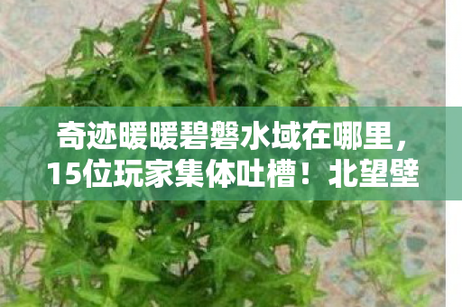 奇迹暖暖碧磐水域在哪里,15位玩家集体吐槽!北望壁水貐设计疑点大起底,策划我绷不住了! 奇迹暖暖碧磐水域在哪里,15位玩家集体吐槽!北望壁水貐设计疑点大起底,策划我绷不住了!