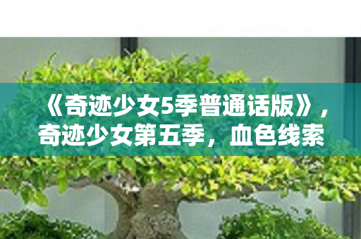 《奇迹少女5季普通话版》,奇迹少女第五季,血色线索下的悬案,毛骨悚然真相待揭! 《奇迹少女5季普通话版》,奇迹少女第五季,血色线索下的悬案,毛骨悚然真相待揭!