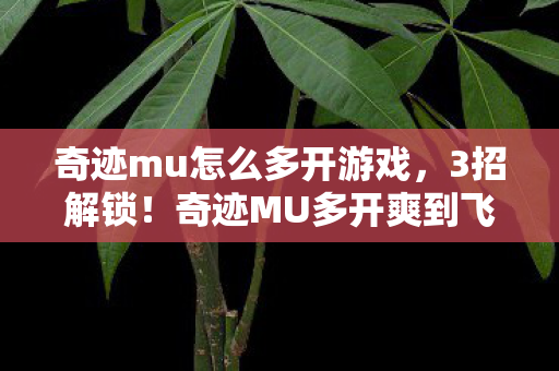 奇迹mu怎么多开游戏，3招解锁！奇迹MU多开爽到飞起，效率翻倍的隐藏技巧大公开