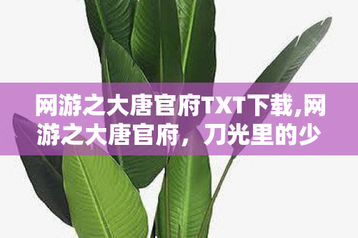 网游之大唐官府TXT下载,网游之大唐官府,刀光里的少年江湖 网游之大唐官府TXT下载,网游之大唐官府,刀光里的少年江湖