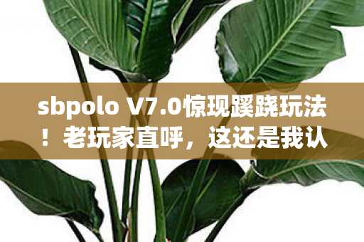 sbpolo V7.0惊现蹊跷玩法！老玩家直呼，这还是我认识的它吗？