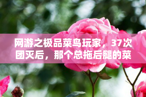 网游之极品菜鸟玩家,37次团灭后,那个总拖后腿的菜鸟竟用1个操作让全服泪崩! 网游之极品菜鸟玩家,37次团灭后,那个总拖后腿的菜鸟竟用1个操作让全服泪崩!
