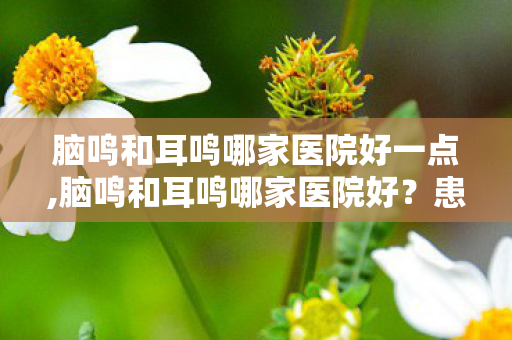 脑鸣和耳鸣哪家医院好一点,脑鸣和耳鸣哪家医院好？患者选院的核心参考