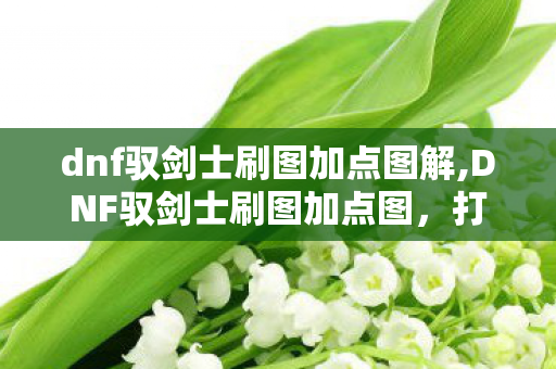 dnf驭剑士刷图加点图解,DNF驭剑士刷图加点图，打造高效刷图的技能分配方案