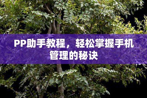 PP助手教程,轻松掌握手机管理的秘诀 PP助手教程,轻松掌握手机管理的秘诀