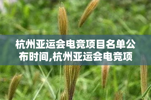 杭州亚运会电竞项目名单公布时间,杭州亚运会电竞项目名单公布 数字竞技书写亚运新篇 杭州亚运会电竞项目名单公布时间,杭州亚运会电竞项目名单公布 数字竞技书写亚运新篇
