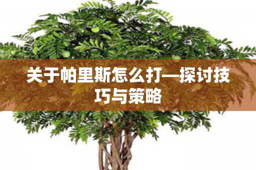 关于帕里斯怎么打—探讨技巧与策略