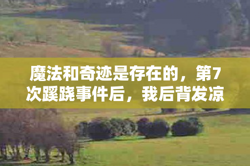 魔法和奇迹是存在的，第7次蹊跷事件后，我后背发凉，奇迹魔法竟藏在这？