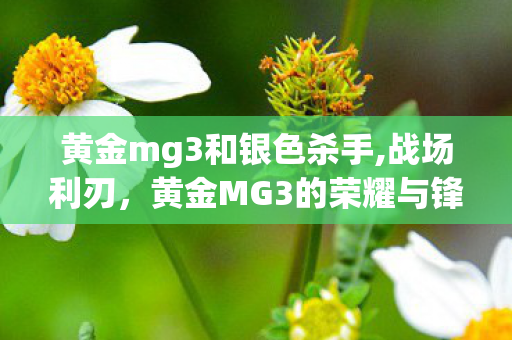 黄金mg3和银色杀手,战场利刃，黄金MG3的荣耀与锋芒