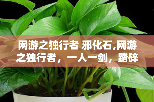 网游之独行者 邪化石,网游之独行者,一人一剑,踏碎尘嚣 网游之独行者 邪化石,网游之独行者,一人一剑,踏碎尘嚣