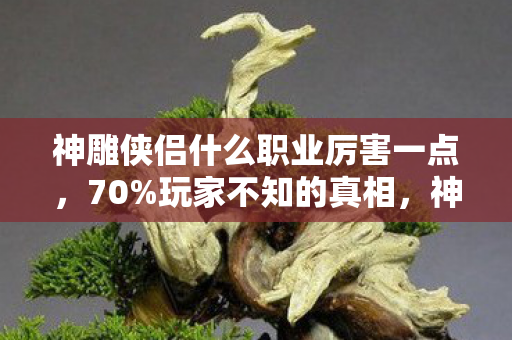 神雕侠侣什么职业厉害一点,70%玩家不知的真相,神雕江湖里最扎心的职业,竟藏着致命温柔 神雕侠侣什么职业厉害一点,70%玩家不知的真相,神雕江湖里最扎心的职业,竟藏着致命温柔