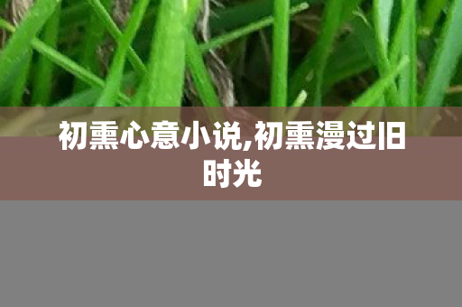 初熏心意小说,初熏漫过旧时光 初熏心意小说,初熏漫过旧时光