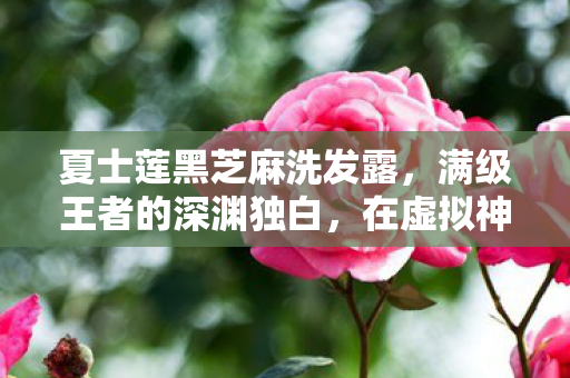 夏士莲黑芝麻洗发露,满级王者的深渊独白,在虚拟神坛跌落,现实黑芝麻般的人生荒诞 夏士莲黑芝麻洗发露,满级王者的深渊独白,在虚拟神坛跌落,现实黑芝麻般的人生荒诞