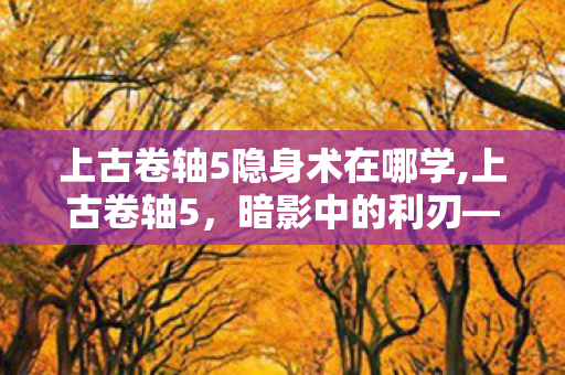 上古卷轴5隐身术在哪学,上古卷轴5,暗影中的利刃——隐身术的深度体验与玩法 上古卷轴5隐身术在哪学,上古卷轴5,暗影中的利刃——隐身术的深度体验与玩法