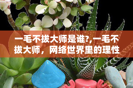 一毛不拔大师是谁?,一毛不拔大师,网络世界里的理性发声者 一毛不拔大师是谁?,一毛不拔大师,网络世界里的理性发声者