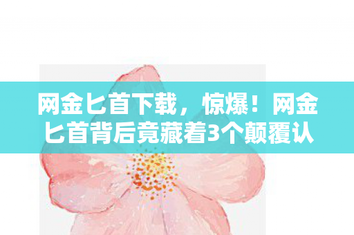 网金匕首下载，惊爆！网金匕首背后竟藏着3个颠覆认知的秘密设计！