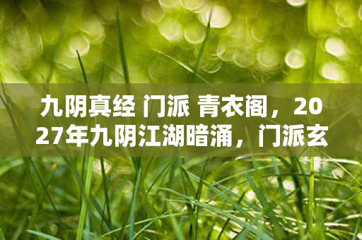 九阴真经 门派 青衣阁,2027年九阴江湖暗涌,门派玄机藏何秘密?沉默后我悟了 九阴真经 门派 青衣阁,2027年九阴江湖暗涌,门派玄机藏何秘密?沉默后我悟了