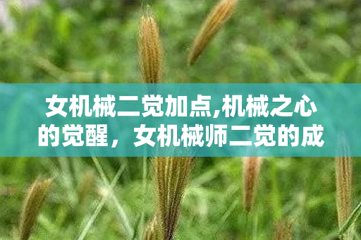女机械二觉加点,机械之心的觉醒,女机械师二觉的成长与荣耀 女机械二觉加点,机械之心的觉醒,女机械师二觉的成长与荣耀