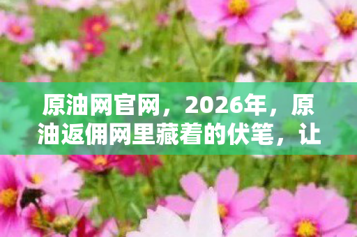 原油网官网,2026年,原油返佣网里藏着的伏笔,让我鼻子一酸忆往昔 原油网官网,2026年,原油返佣网里藏着的伏笔,让我鼻子一酸忆往昔