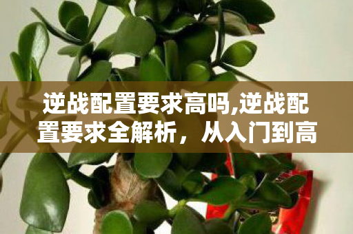 逆战配置要求高吗,逆战配置要求全解析，从入门到高端的硬件适配指南