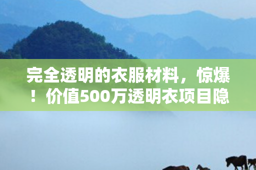 完全透明的衣服材料，惊爆！价值500万透明衣项目隐情曝光，结果让人吓一跳！