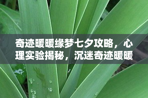 奇迹暖暖缘梦七夕攻略,心理实验揭秘,沉迷奇迹暖暖缘梦七夕,细思极恐的自我囚禁 奇迹暖暖缘梦七夕攻略,心理实验揭秘,沉迷奇迹暖暖缘梦七夕,细思极恐的自我囚禁