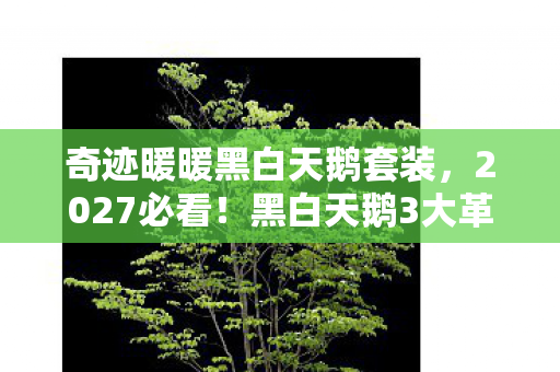 奇迹暖暖黑白天鹅套装,2027必看!黑白天鹅3大革新体验,错过再等十年! 奇迹暖暖黑白天鹅套装,2027必看!黑白天鹅3大革新体验,错过再等十年!